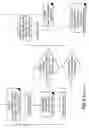 Fig. 10 - Viscous Liquid Fountain