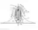 Fig. 01 - SELF-CLEANING SPRINKLER