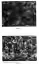 Fig. 05 - Method and process for providing a controlled batch of micrometer-sized or nanometer-sized coal material