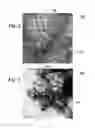 Fig. 02 - Scintillator nanoparticles and method of making