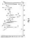 Fig. 04 - Method for patterning an organic material to concurrently form an insulator and a semiconductor and device formed thereby