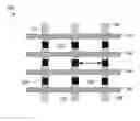 Fig. 01 - Test structure for detecting via contact shorting in shallow trench isolation regions