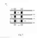 Fig. 06 - Test structure for detecting via contact shorting in shallow trench isolation regions