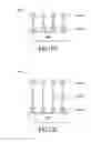 Fig. 19 - Formation of a masking layer on a dielectric region to facilitate formation of a capping layer on electrically conductive regions separated by the dielectric region