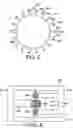 Fig. 05 - Electromagnetic device for converting mechanical vibrational energy into electrical energy