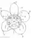 Fig. 01 - Magnet Roller