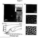 Fig. 02 - Variably porous structures