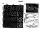 Fig. 03 - Variably porous structures