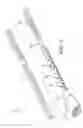 Fig. 02 - Small, narrow profile multiband antenna
