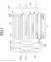 Fig. 02 - LIQUID CRYSTAL DISPLAY DEVICE
