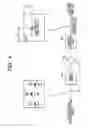 Fig. 05 - VIDEO CONFERENCING APPARATUS, CONTROL METHOD, AND PROGRAM