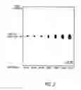 Fig. 03 - System and method for improving performance of optical systems with tilted windows