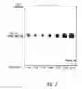 Fig. 04 - System and method for improving performance of optical systems with tilted windows
