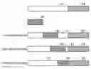 Fig. 01 - Motion estimation method
