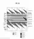 Fig. 07 - DTV receiving system and method of processing DTV signal