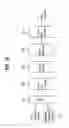 Fig. 19 - DTV receiving system and method of processing DTV signal