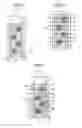 Fig. 03 - Light diffusion element, screen, and image projector