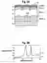 Fig. 03 - Biosensors with porous dielectric surface for fluorescence enhancement and methods of manufacture