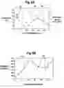 Fig. 06 - Biosensors with porous dielectric surface for fluorescence enhancement and methods of manufacture