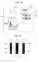 Fig. 15 - Method and its apparatus for inspecting particles or defects of a semiconductor device