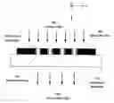 Fig. 01 - Sensor device and testing method utilizing localized plasmon resonance