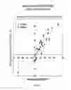 Fig. 08 - Methods for using light reflection patterns to determine diving angle of grain