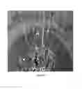 Fig. 17 - Methods for using light reflection patterns to determine diving angle of grain