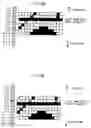 Fig. 11 - Image processing device, image recording device, image processing method, and recording medium with image processing program