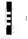 Fig. 08 - Method for forming interleaved coils with damascene plating