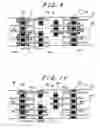 Fig. 06 - Semiconductor memory device with memory cells operated by boosted voltage