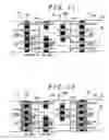 Fig. 07 - Semiconductor memory device with memory cells operated by boosted voltage