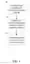 Fig. 07 - Relay station, transmission method, and tangible machine-readable medium thereof for use in a multi-hop network