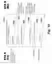 Fig. 13 - Training signals for selecting antennas and beams in MIMO wireless LANs
