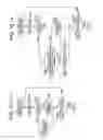 Fig. 16 - Radiographying system and radiation image detecting device