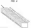 Fig. 05 - DEVICE FOR DETECTING DIGITAL WATERMARK
