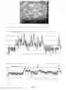 Fig. 07 - Determination of a change in a cell population