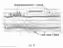 Fig. 11 - Determination of a change in a cell population