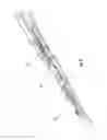 Fig. 11 - Cable assembly with access point