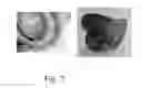 Fig. 08 - Skin Cover for Cameras
