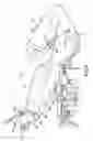 Fig. 07 - Image forming device and detachably loaded process unit