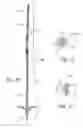 Fig. 07 - Cable bolt