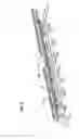Fig. 10 - Method and apparatus for the automatic feeding of metal section bars
