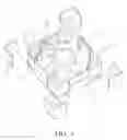Fig. 05 - Fan and fan frame thereof
