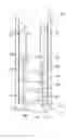 Fig. 01 - High compression downhole pump