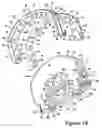 Fig. 16 - Hydrogen G-cycle rotary internal combustion engine