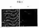 Fig. 02 - Method for preparing rare earth permanent magnet