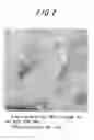 Fig. 03 - Component for Machine Structure, Method of Producing the Same and Material for Induction Hardening