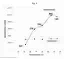 Fig. 05 - Microparticles with enhanced covalent binding capacity and their uses