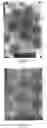 Fig. 05 - Method for making colloidal nanocrystals