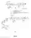 Fig. 08 - Gastrin releasing peptide compounds